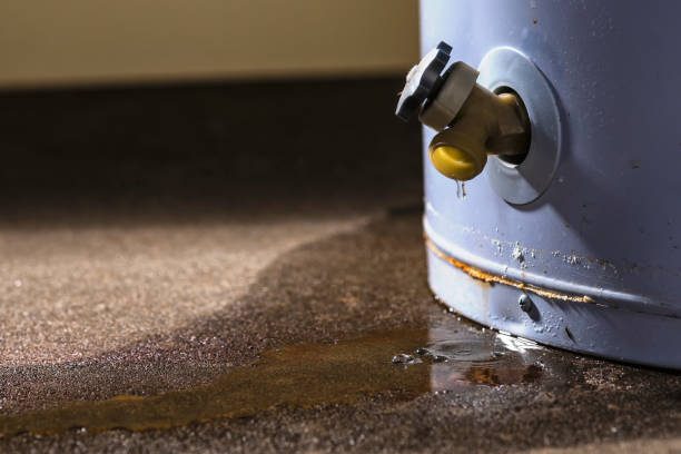 Best Sewage cleanup and water damage restoration  in Fillmore, UT