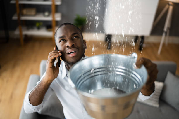 Best Mold removal after water damage  in Fillmore, UT