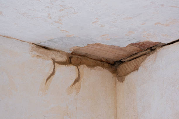 Best Water damage mitigation services  in Fillmore, UT