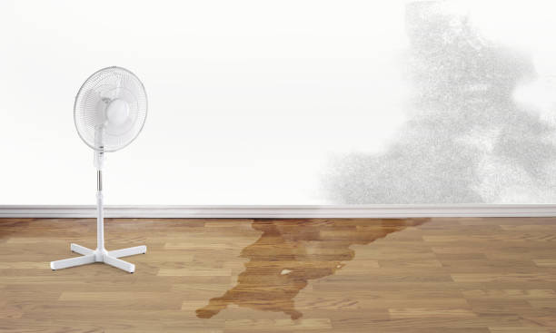 Best Flooded house restoration  in Fillmore, UT