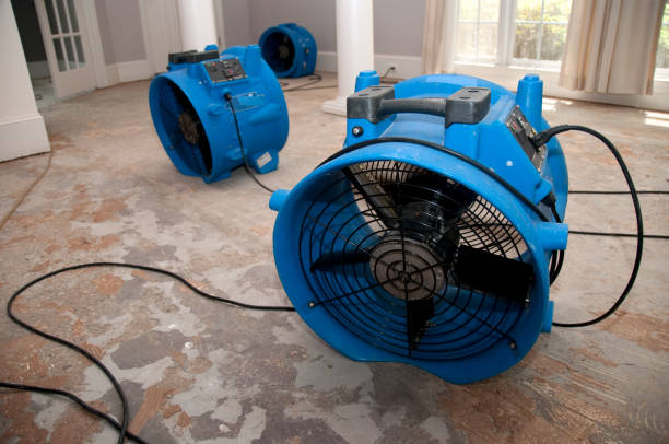 Best Residential water damage restoration  in Fillmore, UT