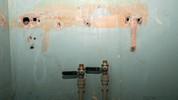 Best Professional water damage repair  in Fillmore, UT