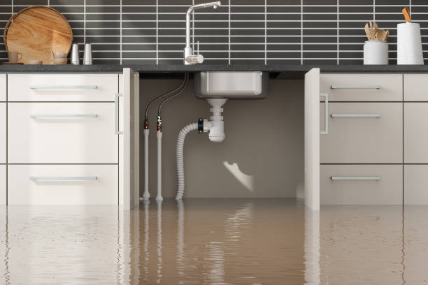 Best Basement water damage restoration  in Fillmore, UT