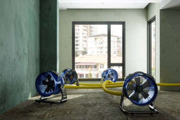 Best Flood restoration services  in Fillmore, UT